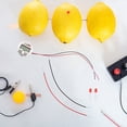 thumbnail image 4 of SHISUYAN 3 Sets of Creative Fruit Battery Experiment Kit Fruit Battery Power Toy Energy Science Kit, 4 of 9