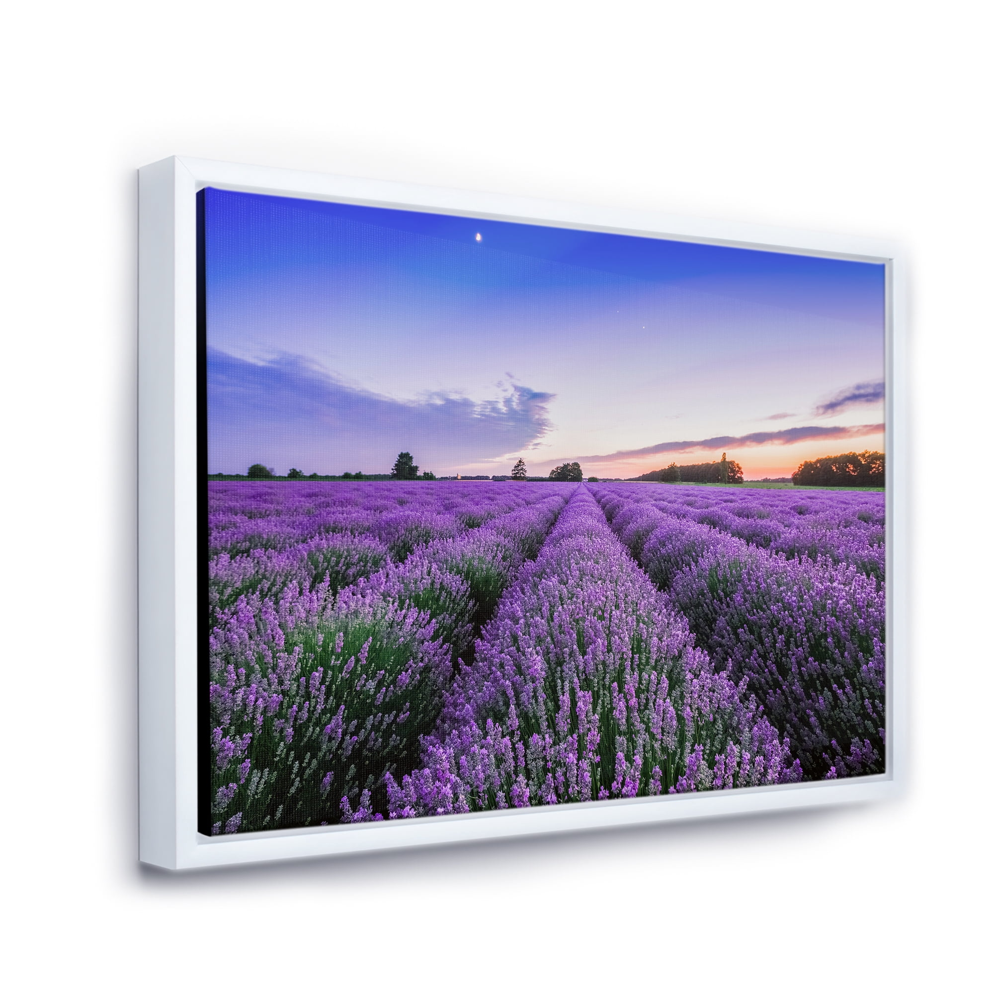 Designart 'Dramatic Clouds and Sunrise Over Lavender Field II' Farmhouse Framed Canvas Wall Art Print
