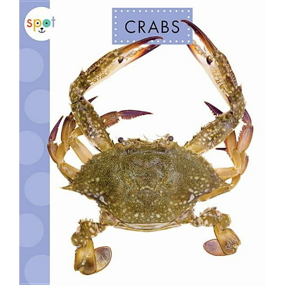 Spot Ocean Animals Crabs, (Paperback)