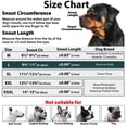 thumbnail image 4 of Bozal para perro Mayerzon Pitbull, suave, con correa antideslizante, 4 of 7