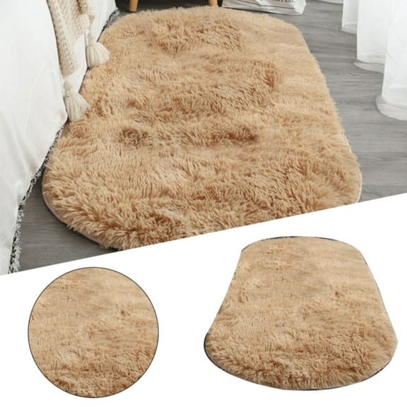 Shaggy Area Rug Soft Fluffy Floor Mat Bedroom Bedside Carpet Small Runner for Living Room Sofa Chair Entryway Decor 16x24 Inch