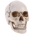 thumbnail image 2 of Miangastore Modèle de Crâne Humain en Résine Anatomique Médical Statue de Décoration d'Halloween, 2 of 8