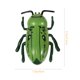 thumbnail image 2 of BRIGHTFUFU 4 piezas de simulación de insectos en movimiento, juguetes, teaser, interactivo, para mascotas, automático, eléctrico, para caminar, Mini insecto con batería de botón, 2 of 7