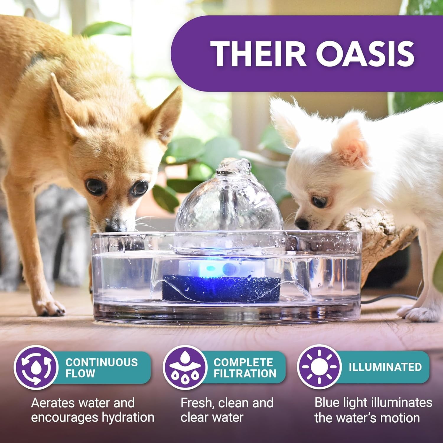 Glass Pet Fountain (90oz/2.7L) – Cat & Dog Water Fountain – Glass Cat Fountain & Automatic Water Dispenser for Drinking