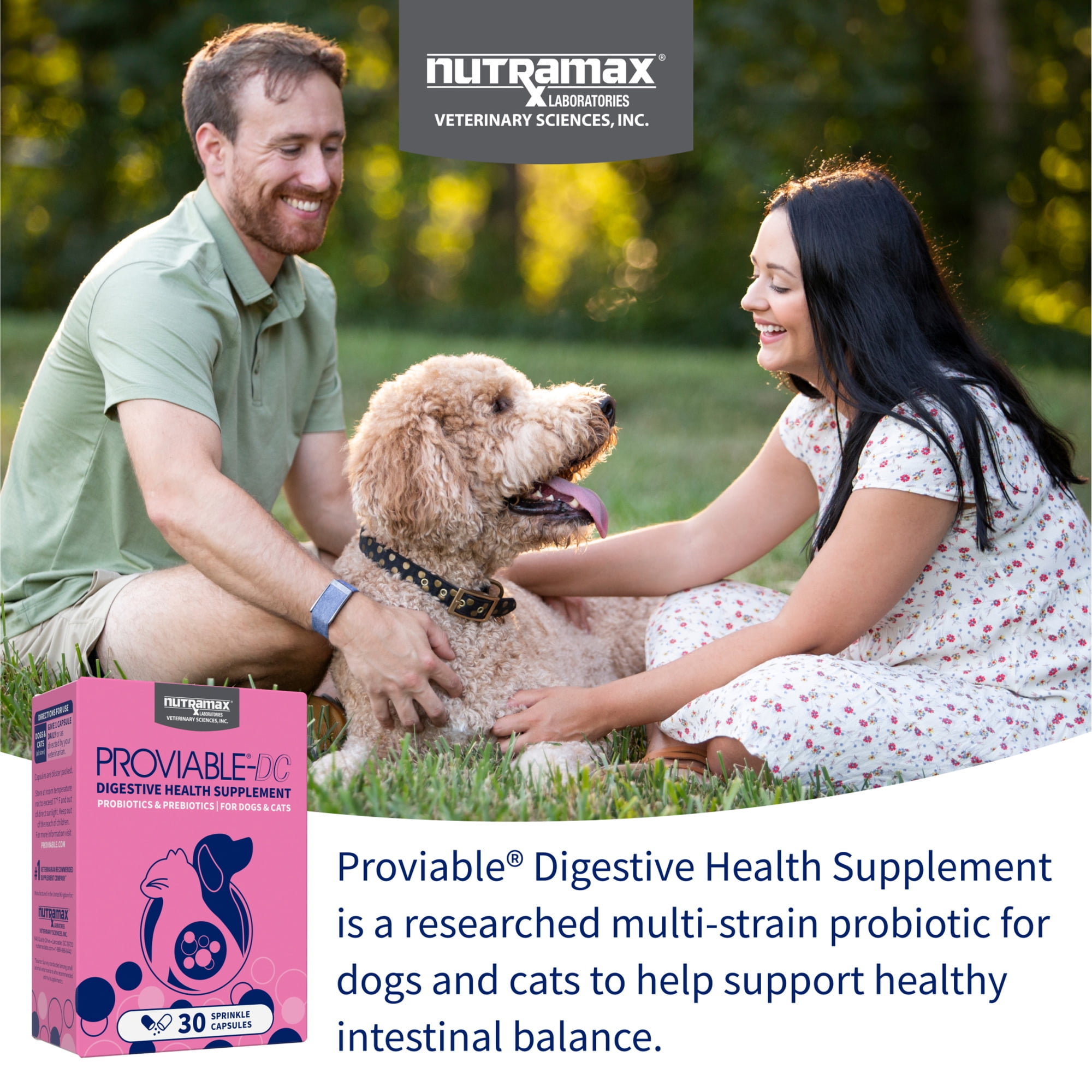 Nutramax Proviable Digestive Health Supplement DC Capsules for Cats and Dogs, 30 Count