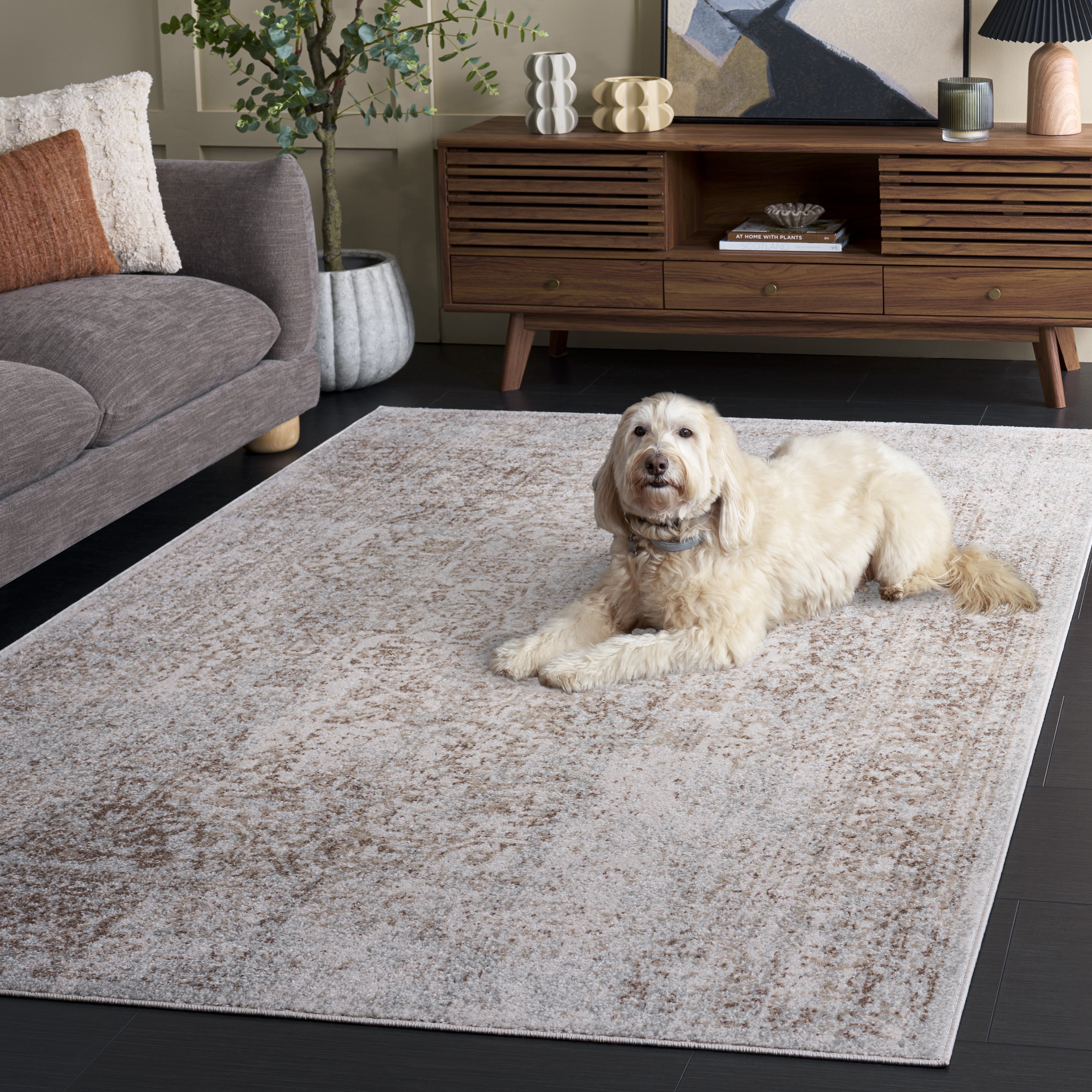 SAFAVIEH Area Rug 8x10 - Evoke Collection - Large - Traditional Design, Ivory & Taupe, Non-Shedding & Easy Cleaning, Ideal for Living Room, Bedroom, Dining Space