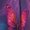 Color-1, variant on Enchanting Butterfly Chiffon Dress V Neck Dresses Women Casual Dress