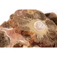 thumbnail image 2 of Scout & Zoe's: Ox Tails - 3oz Dog Treats, Freeze-Dried, Single Ingredient, Crunchy Pet Chews, High Protein Snack & Reward, Joint Support, USA Sourced, 2 of 12
