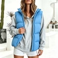 thumbnail image 2 of DYTTDG Women's Solid Color Stand Collar Puffer Vest, Full Zipper Sleeveless Outerwear With Side Pockets, Lightweight Casual Quilted Gilet for Fall Winter Daily Wear, 2 of 8