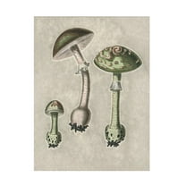 Trademark Fine Art Pictufy   Amanita Muscaria Remix Green Canvas Wall Art