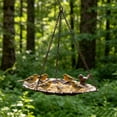 thumbnail image 5 of SLYNSHome Hanging Bird Bath Hanging Bird-Feeder Garden Decorations Hummingbird Bath Tray Wildlife Feeder Plate Water Bowl for Outdoors Patio Decor, 5 of 9