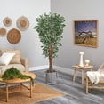 thumbnail image 4 of Nearly Natural 70in. Variegated Ficus Artificial Tree in Handmade Black and White  Jute and Cotton Planter UV Resistant (Indoor/Outdoor), 4 of 4