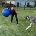 FOMAOGO Herding Ball for Dogs, Collie Ball for Blue Heelers Australian