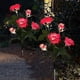thumbnail image 4 of Luz al aire libre artificial de Rose artificial de la linterna solar llevada solar para el jardín, 4 of 5