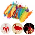 thumbnail image 4 of DIY Materials, kindergarten Decorations, & Handmade Art Supplies 100 Multicolored Feathers for Kids' Craft Fun, 4 of 8