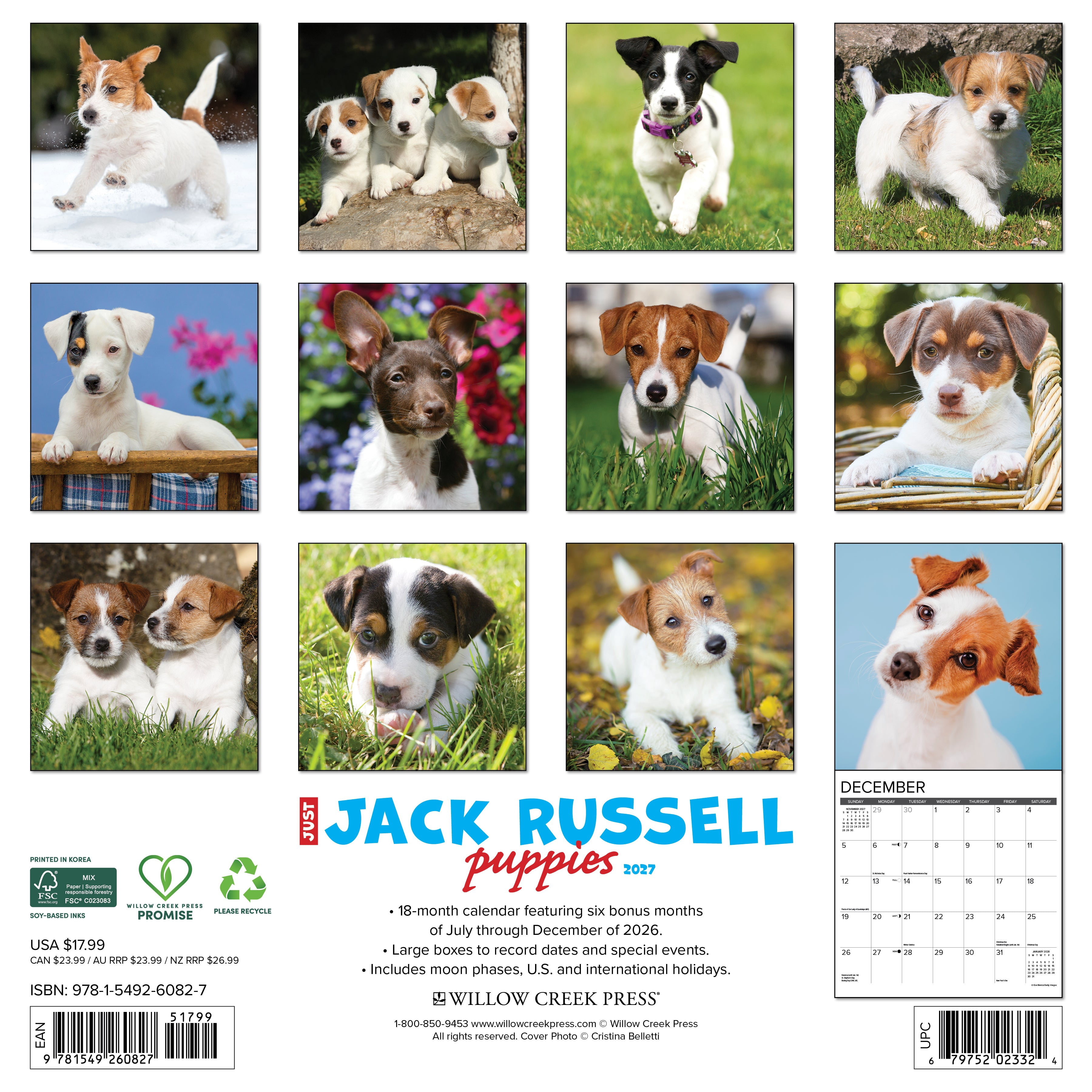 Willow Creek Press, Jack Russell Puppies 2027 Wall Calendar