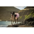 thumbnail image 5 of Light Pink Dog Tutu Skirt | XS-XXXL, 5 of 11
