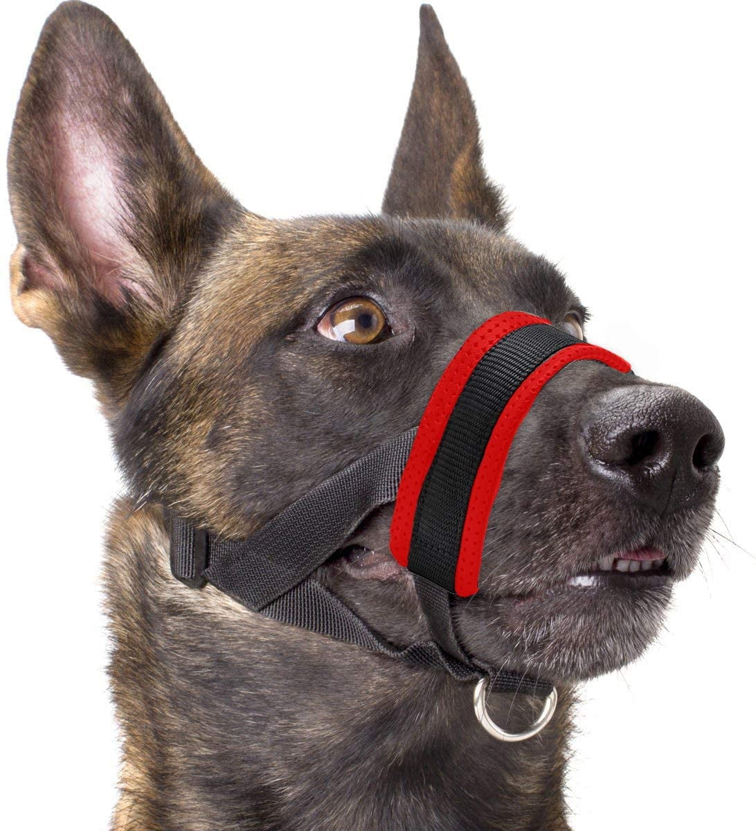 dog muzzle walmart