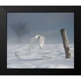 thumbnail image 2 of Burchett, PH 14x12 Black Modern Framed Museum Art Print Titled - Owl in Flight VI, 2 of 5