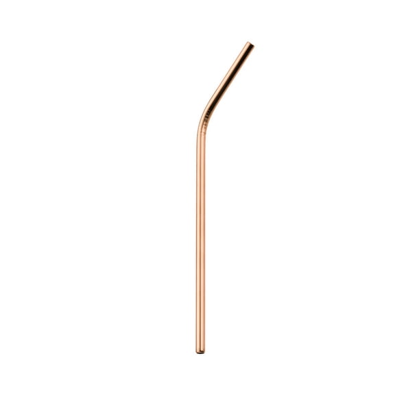 Stainless Steel Smoothie Straws Extra Wide Reusable Metal Drinking Straws for Milkshake, Smoothie, Beverage