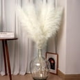 thumbnail image 3 of 10pcs 40'' Pampas Grass Tall Decor - Pompas Floral, Tall Pampas Grass for Floor Vases, Living Room Floor, Floor Plants, Plumas para, and Grass Wall Decor, 3 of 7
