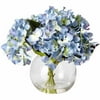 Hydrangea In Glass With Art Water