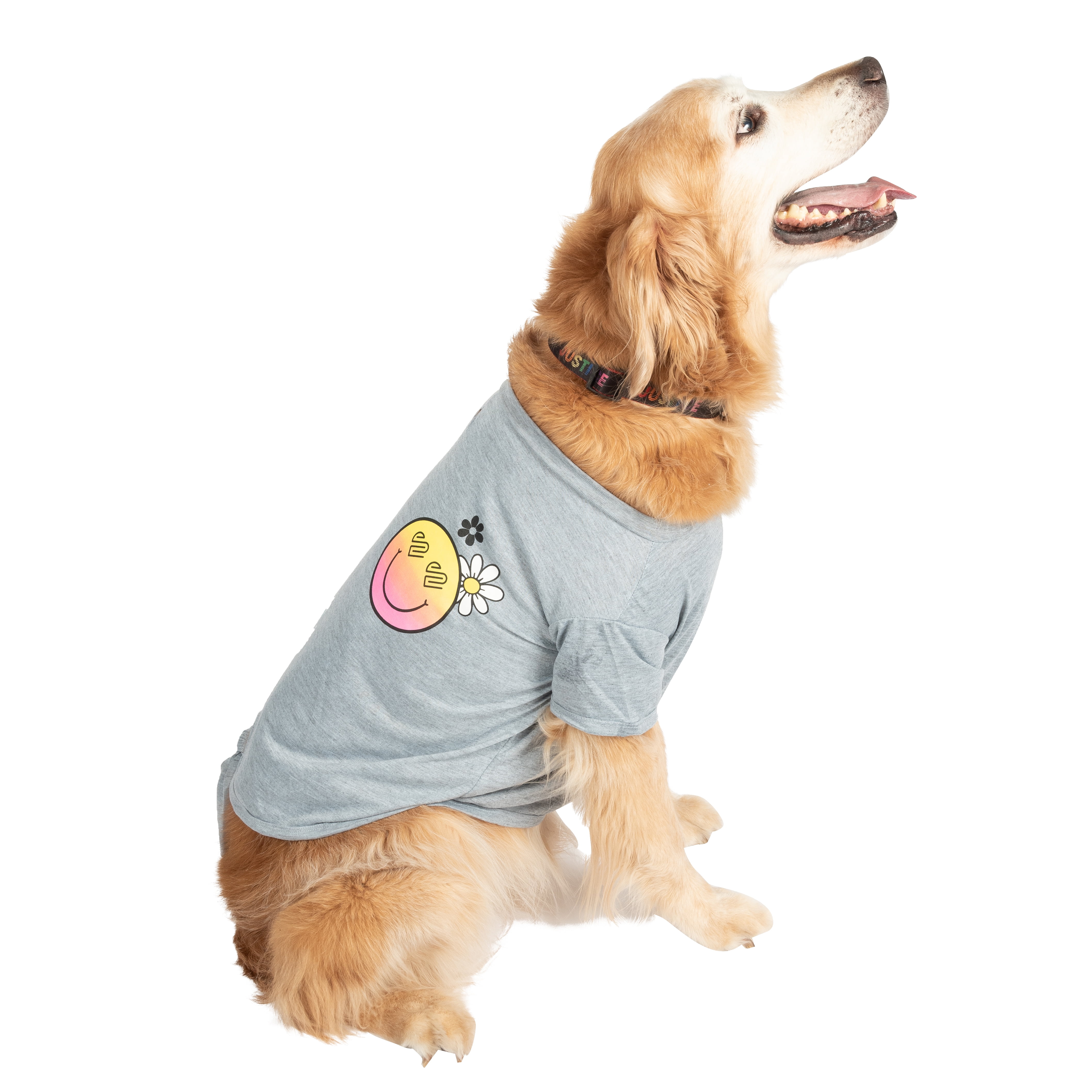 Justice Pet Front Tied Dog Tee Shirt, Gray, Large Size 