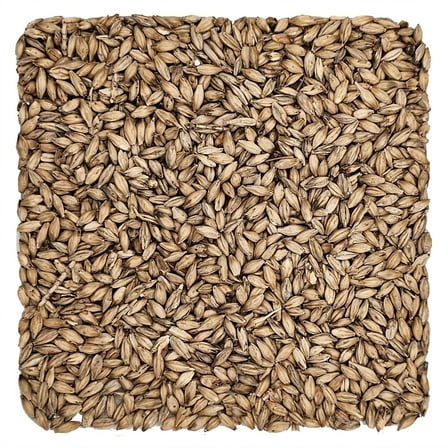 Home Brew Ohio Pale Ale Grain 1lb