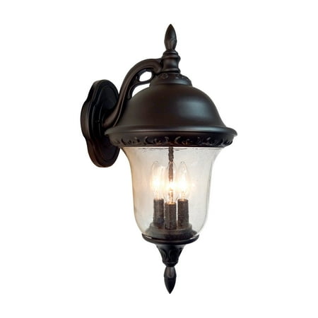 Medium Outdoor Wall Mount - Special Lite Products Glenn Aire F-2991 Medium Top Mount Outdoor Wall Light with Seedy Glass