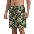thumbnail image 2 of Naloa Citrus Fruits Elegant Lemons Men's Beach Shorts, Surfing shorts, Swim trunks, Quick Dry Swim Trunks for Surfing Beach Fun - Small, 2 of 9