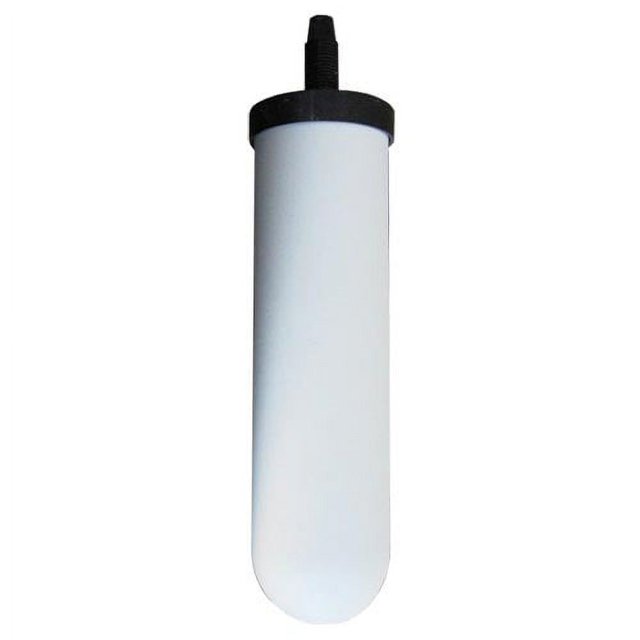Doulton W9121750 10-Inch Super Sterasyl Ceramic Filter Candle