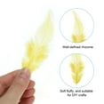 thumbnail image 3 of Uxcell 3-6 Inch Saddle Hackle Rooster Feather Bulk Natural Feathers Fluffy Craft Feathers Yellow 50 Pcs, 3 of 6