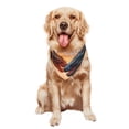 thumbnail image 5 of Naloa Lava Dragon Dog Bandanas 1PC Washable Triangle Dog Scarfs Premium Durable Fabric, for Small Medium Large Dogs and Cats, 5 of 6