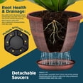 thumbnail image 4 of 10-Inch Whiskey Barrel Planters Outdoor Pack of 2 - Durable Plastic Plant Pots for Indoor & Outdoor Use with Drainage & Saucer, Lightweight Rustic Barrel Planters for Flowers, Herbs & Small Plants, 4 of 4