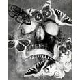 thumbnail image 2 of Kimberly, Allen 15x18 Black Ornate Wood Framed with Double Matting Museum Art Print Titled - Flower Skull White, 2 of 4