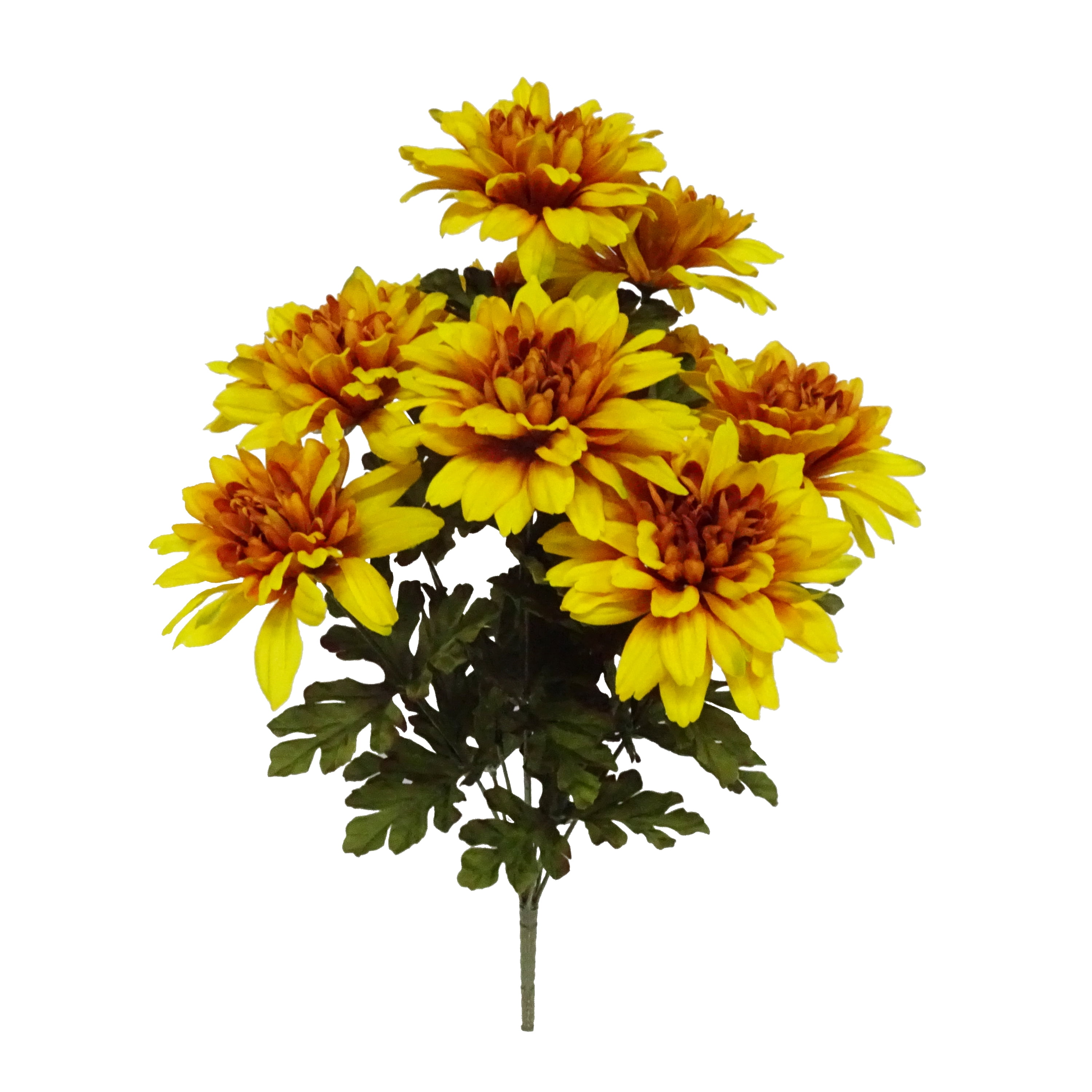 Yellow Dahlia Bush, 1 Each