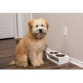 thumbnail image 2 of Internet's Best Modern Elevated Pet Feeder - 2 Small Dog Bowls, 2 of 8