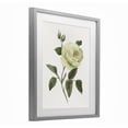 thumbnail image 2 of Stupell Industries Transitional Cream Garden Rose with Buds Gray Framed Print Under Glass, 13 x 16, by Nan, 2 of 8