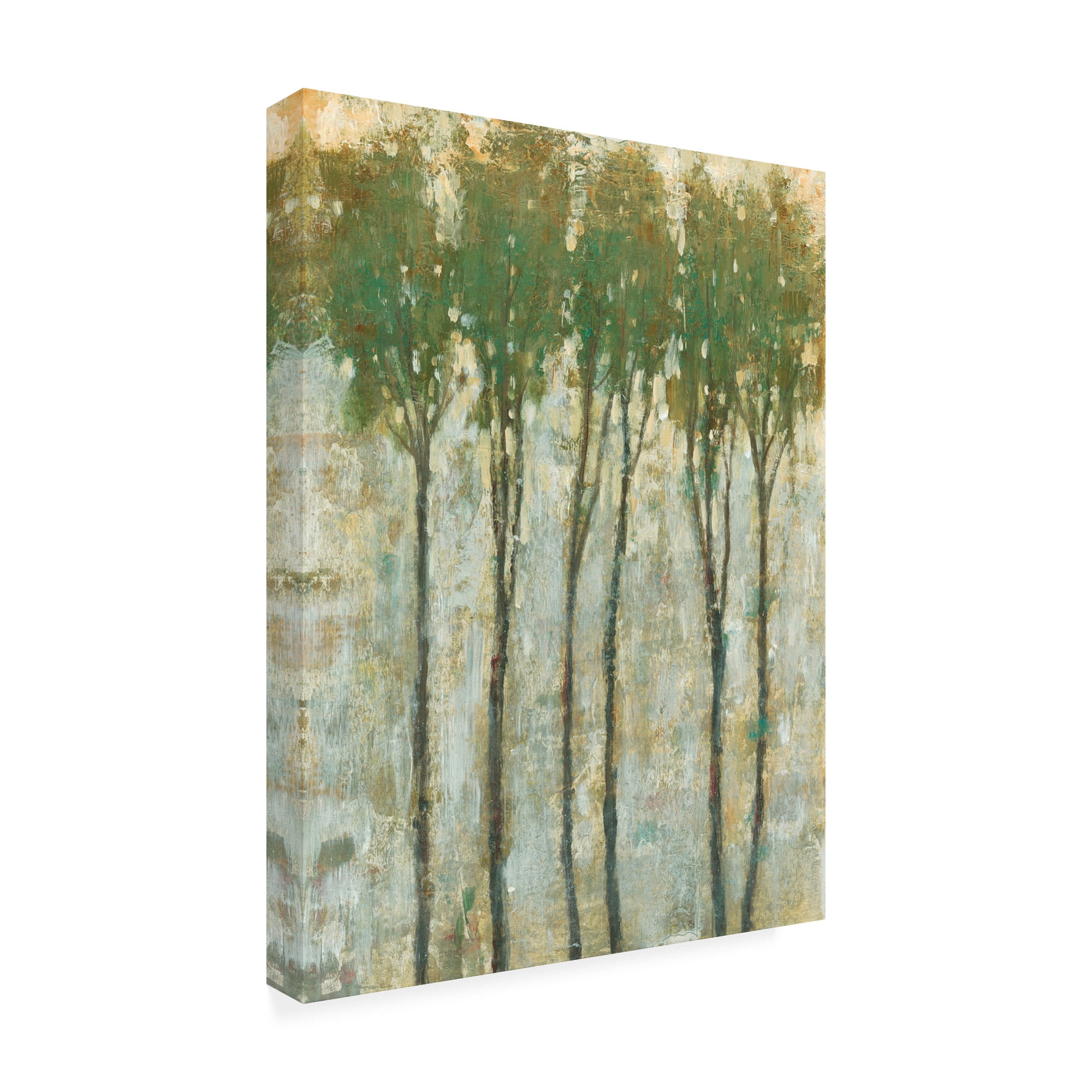 Trademark Fine Art 'Standing Tall in Spring I' Canvas Art by Tim OToole