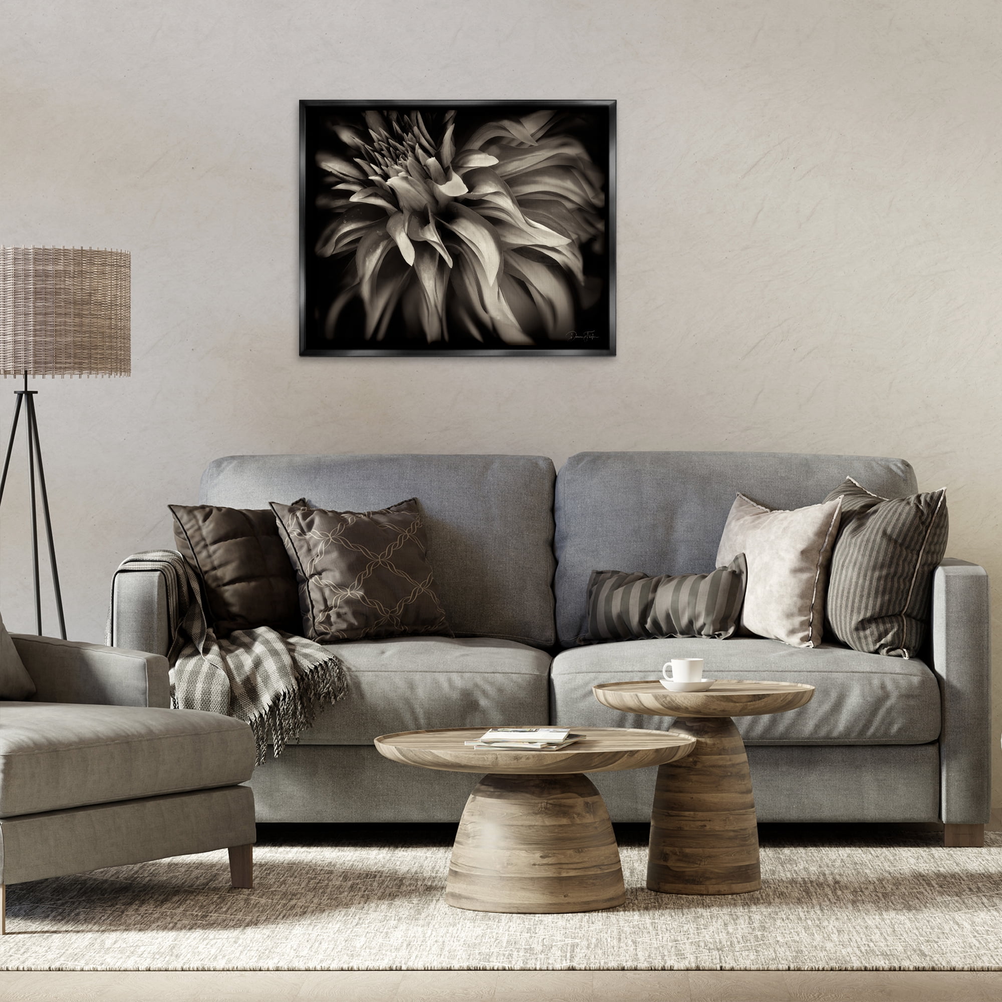 Stupell Industries Dark Curling Chrysanthemum Botanical & Floral Photography Black Floater Framed Art Print Wall Art, 31 x 25