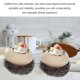 thumbnail image 3 of Egg Shaped Dessert Bowl Noodle Bowl Food Container Noodle Storage Holder with Nest 26-27s, 3 of 4