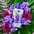 thumbnail image 4 of Tulipan Negro Purifying Micellar Shampoo With Mint extract And Eucalyptus 13,50 Fl Oz, 4 of 4