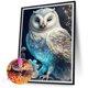 thumbnail image 2 of Cuadros Decorativos 5D Wdftyju bricolaje ronda completa taladro diamante pintura búho Kit arte decoración del hogar B6168, 2 of 9