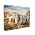 thumbnail image 3 of Stupell Industries Pleasant Highland Cattle Grazing Mossy Pasture At Dawn Photograph Gallery Wrapped Canvas Print Wall Art, Design by James Dobson, 3 of 5