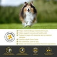 thumbnail image 4 of Pet Honesty Allergy Skin Health for Dogs, Duck Flavor, 90 Count Chews, 4 of 5