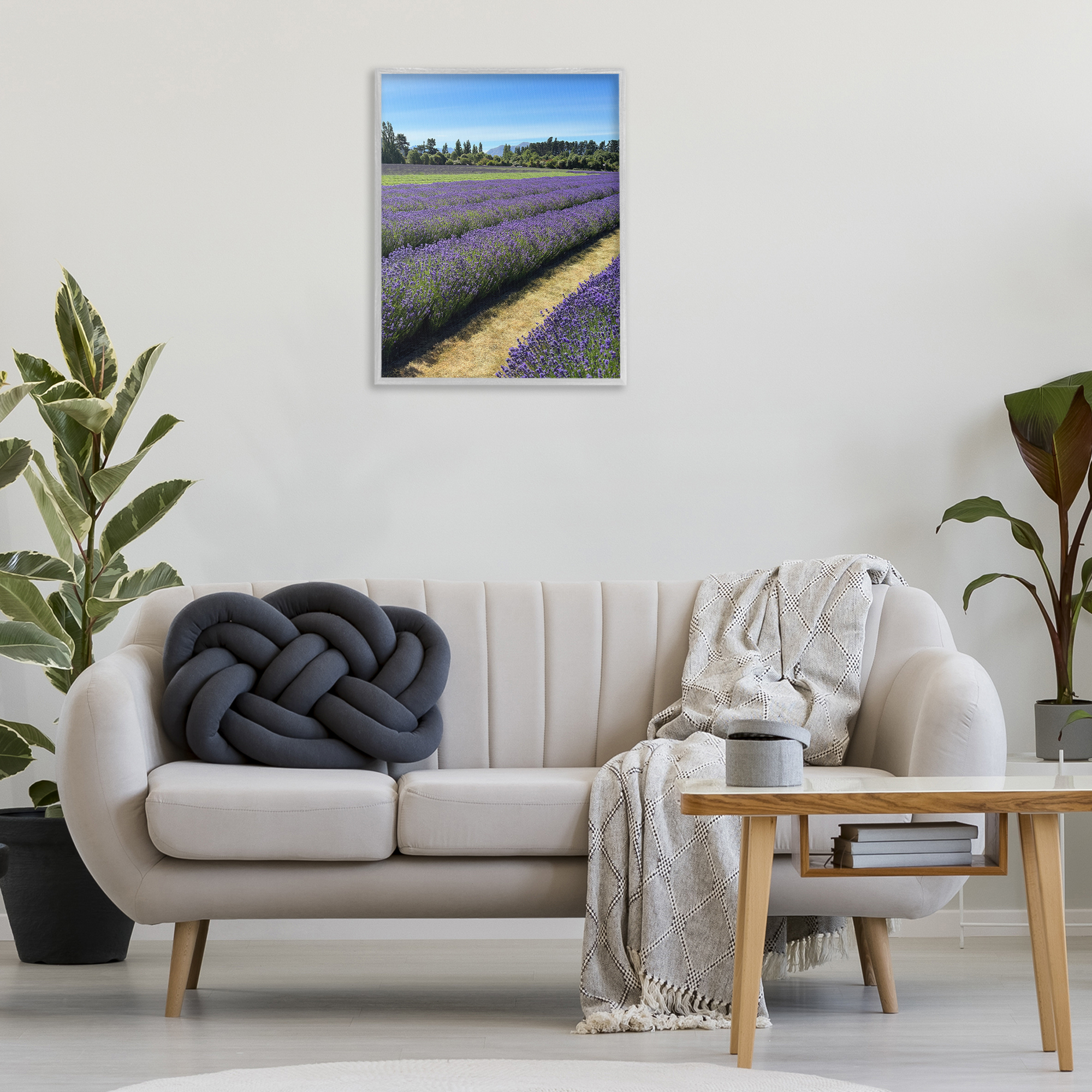 Stupell Industries Lavender Path Landscape Landscape Photography Gray Framed Art Print Wall Art, 24 x 30