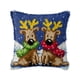 thumbnail image 1 of Bearachild Kits de gancho de pestillo de estilo navideño DIY, obras maestras navideñas propias, kits de fabricación de fundas de almohadas Kits de decoración para fiestas BZ816, 1 of 6