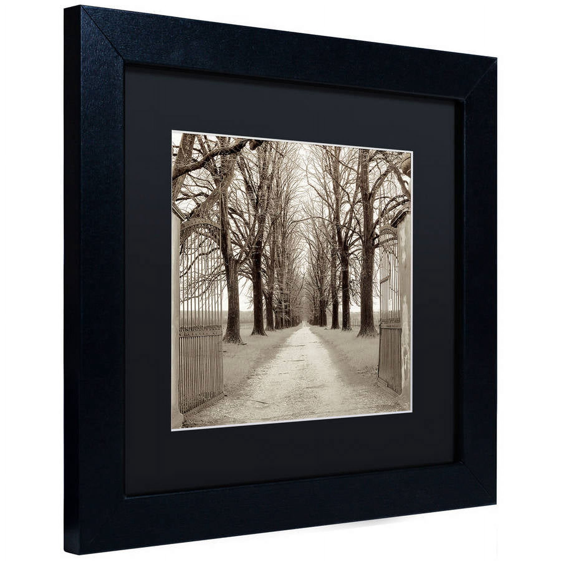 Trademark Fine Art "Veneto Giardini I" Canvas Art by Alan Blaustein, Black Matte, Black Frame
