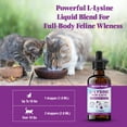 thumbnail image 3 of Special Breed L-Lysine for Cats & Kittens – Immune, Respiratory & Eye Health Support – Liquid Cat Supplement with Astragalus, Burdock, Atractylodes, Dangshen & Vitamins A, B1, B2, B6 – 2oz (60mL), 3 of 9