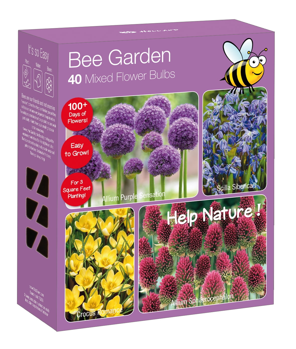 Bee Garden Nature Friendly Collection Multi-Colored Assorted Bulbs 40 Pack